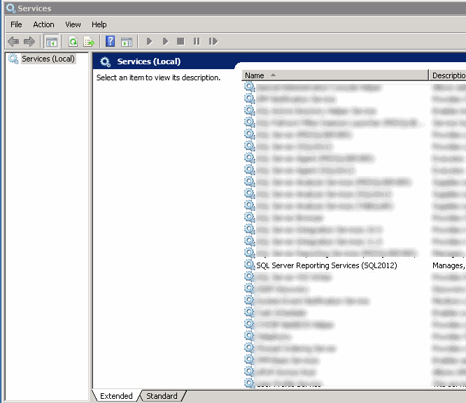 SSRS ReportServer Name Services Window